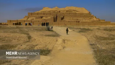 اجتماعی نیوز