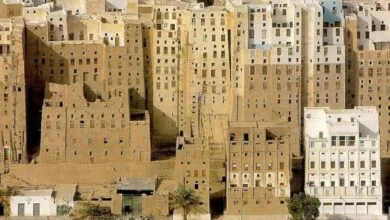 اجتماعی نیوز