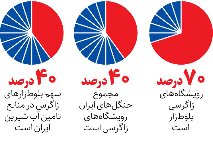 پویش زاگرس‌نشینان «برای فردای ایران» | بازگشت بلوط‌ها به جنگل زاگرس