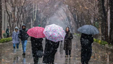 ۵ دلیل که آلرژی زمستان را تشدید می کند