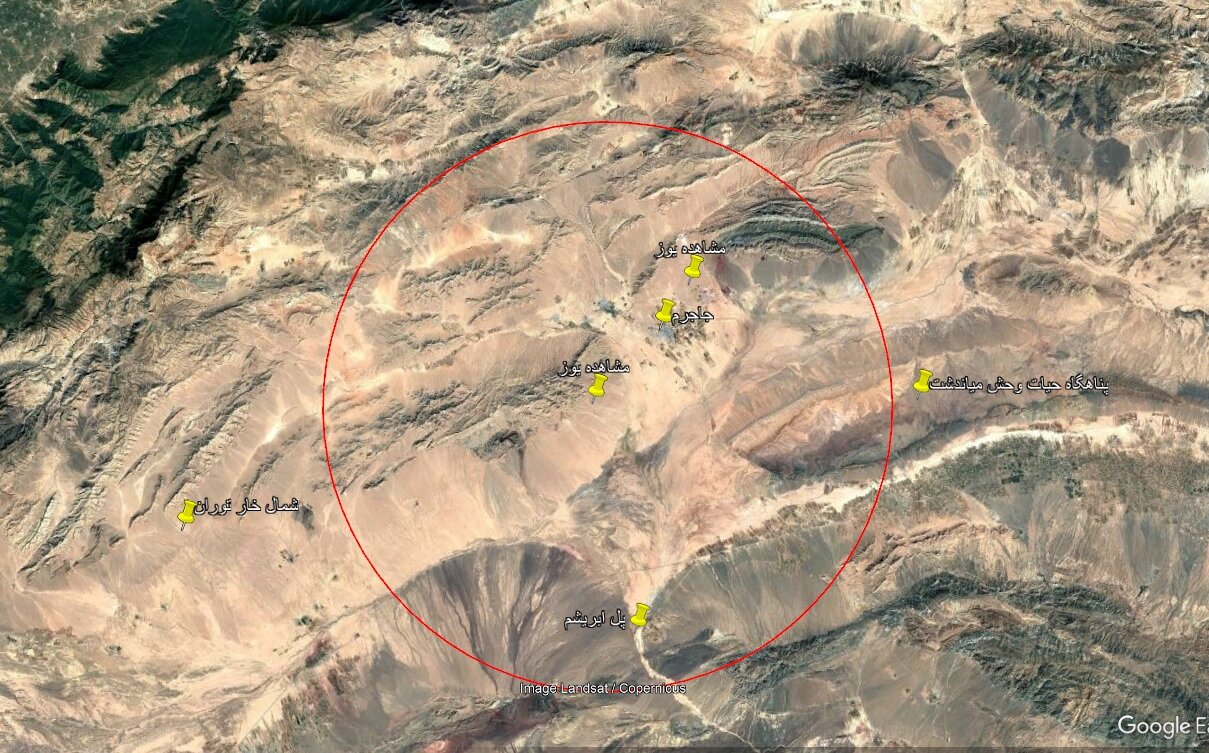 معدن‌کاوی که به حفاظت از یوزپلنگ ایرانی روی آورد