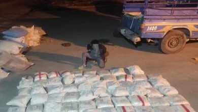 کشف ۵۷۷ کیلو تریاک جاساز شده در ضایعات خرما
