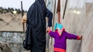 افزایش ۴۰ درصدی مستمری مددجویان کمیته‌امداد در سال ۱۴۰۴