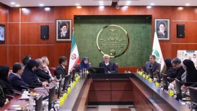 عارف: نگویید نمی‌شود، بگویید چطور باید انجام داد/ حفظ محیط‌زیست و توسعه همزمان دنبال شود