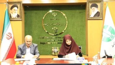 اجتماعی نیوز