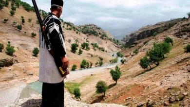 اجتماعی نیوز