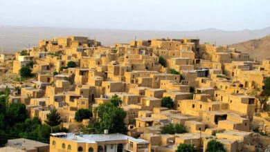 اجتماعی نیوز