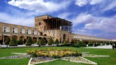اجتماعی نیوز