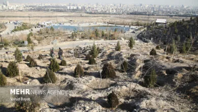 کاشت ۲۵ هزار اصله نهال تا پایان سال در بوستان جنگلی سرخه حصار کاشت ۲۵ هزار اصله نهال تا پایان سال در بوستان جنگلی سرخه حصار