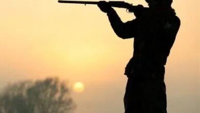 دستگیری شکارچی غیر مجاز در شمال تهران