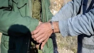 دستگیری شکارچیانی که ۱۲ گلوله به سمت محیط‌بانان شلیک کردند