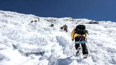گم شدن ۴ کوهنورد شیرازی در برف و کولاک دماوند