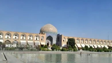 اجتماعی نیوز