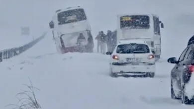 این ۳ شهر رکورددار بارش‌های اخیر کشور شدند