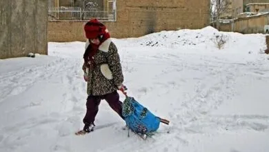 همه مدارس این استان غیرحضوری شد