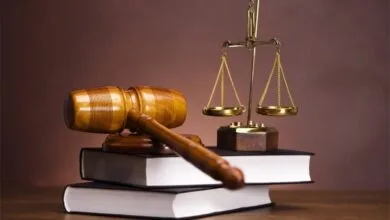 نیلوفر حامدی و الهه محمدی مشمول عفو ۲۲ بهمن شدند