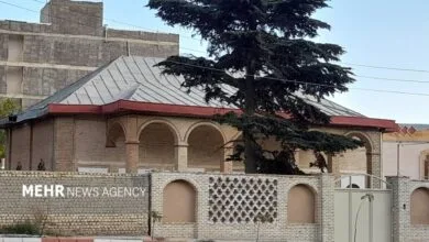 اجتماعی نیوز