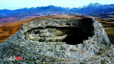 اجتماعی نیوز