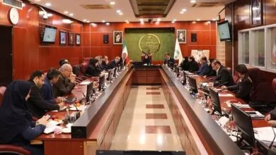 دومین جلسه کمیسیون دائمی شورای عالی حفاظت محیط زیست برگزار شد