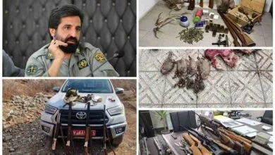 ۱۱ شکارچی غیرمجاز در استان تهران دستگیر شدند ۱۱ شکارچی غیرمجاز در استان تهران دستگیر شدند