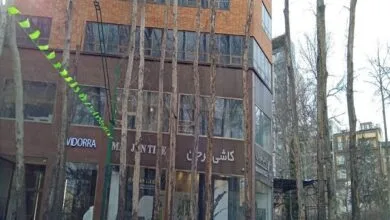 جمع آوری درختان خشک خیابان ولیعصر (عج) از امشب آغاز میشود جمع آوری درختان خشک خیابان ولیعصر (عج) از امشب آغاز میشود