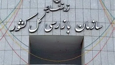 سازمان بازرسی: یک شرکت‌ فعال در صنعت برق از خطر تعطیلی نجات یافت