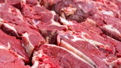 پیگیری استانداری تهران برای افزایش کیفیت گوشت قرمز در استان/ همراهی استان‌های معین تولید کننده سیب زمینی