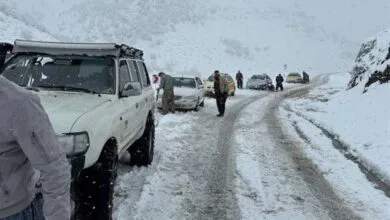 اجتماعی نیوز