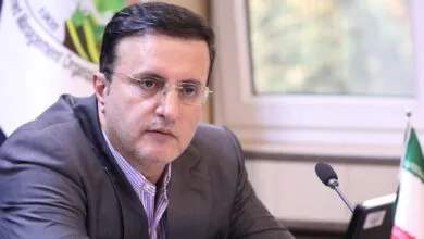 بهره‌وری با سیستم جنگلداری نوین در دستور کار سازمان منابع طبیعی