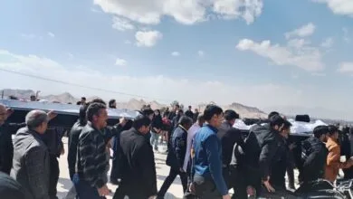 اجتماعی نیوز