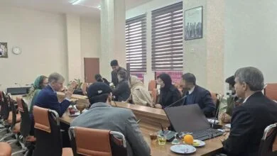 دیدار سفیر انگلیس با متهمان امنیتی تبعه کشورش در کرمان