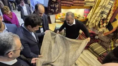 معاون رئیس جمهور: سهم واقعی‌مان را از درآمد گردشگری کسب نکرده‌ایم