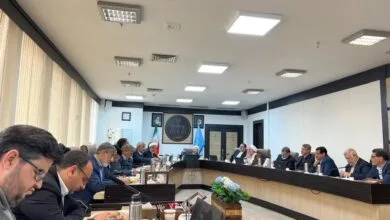 در نشست مسئولان استان کرمان با معاون اول قوه قضائیه چه گذشت؟