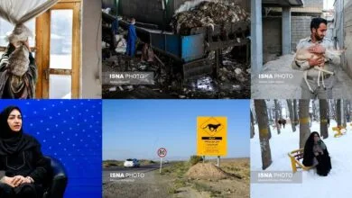 رفتارهای جزیره‌ای و انقراض یوزپلنگ‌ها، دمای زیر صفر درجه و…
