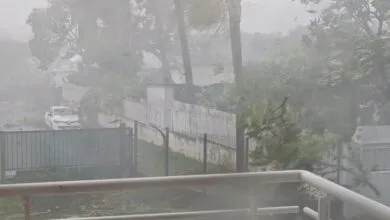 طوفان در جزیره فرانسوی «رئونیون»؛ آب و برق هزاران مشترک قطع شد طوفان در جزیره فرانسوی «رئونیون»؛ آب و برق هزاران مشترک قطع شد