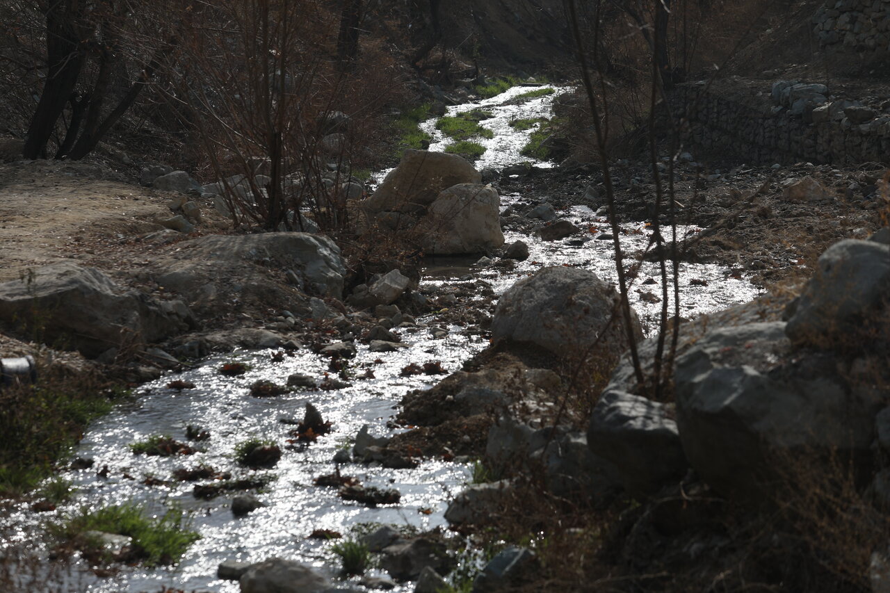 افطاری در کنار رودخانه