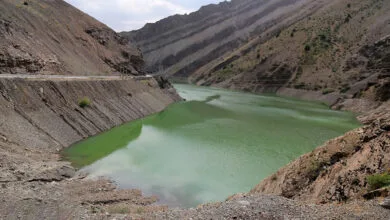 اجتماعی نیوز