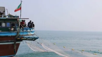اجتماعی نیوز