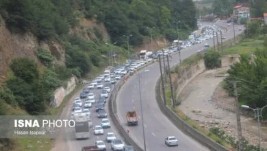 اجتماعی نیوز