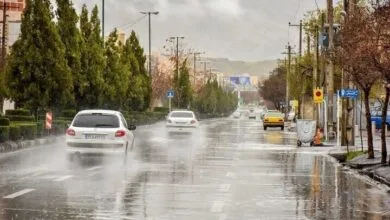 اجتماعی نیوز