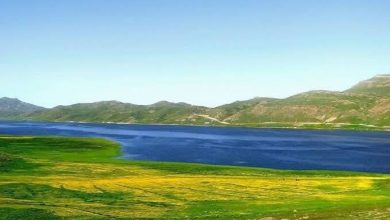 احیای تالاب انزلی نیازمند نگاه ملی