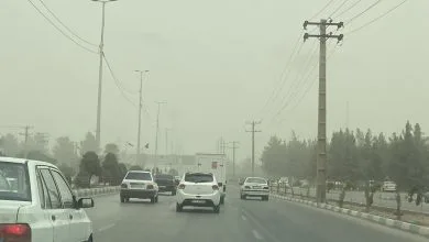 اجتماعی نیوز